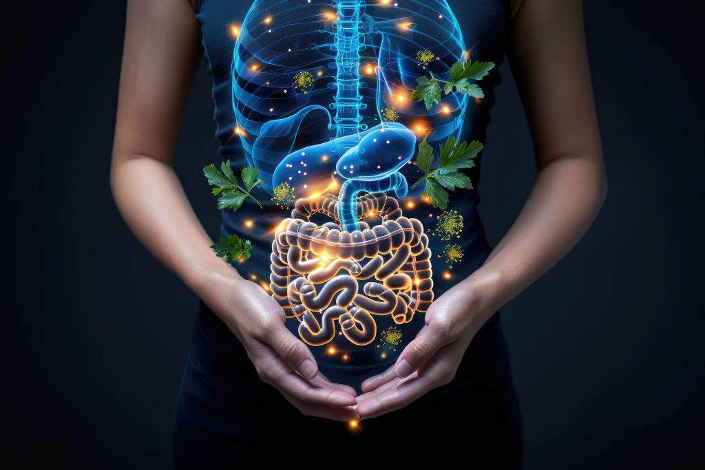 Autoimune bolesti i mikrobiota crijeva